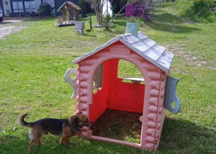 Dom wakacyjny Casa *